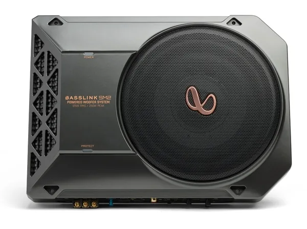 Infinity Basslink SM2