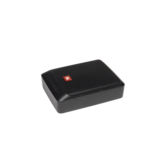 JBL Basspro Nano